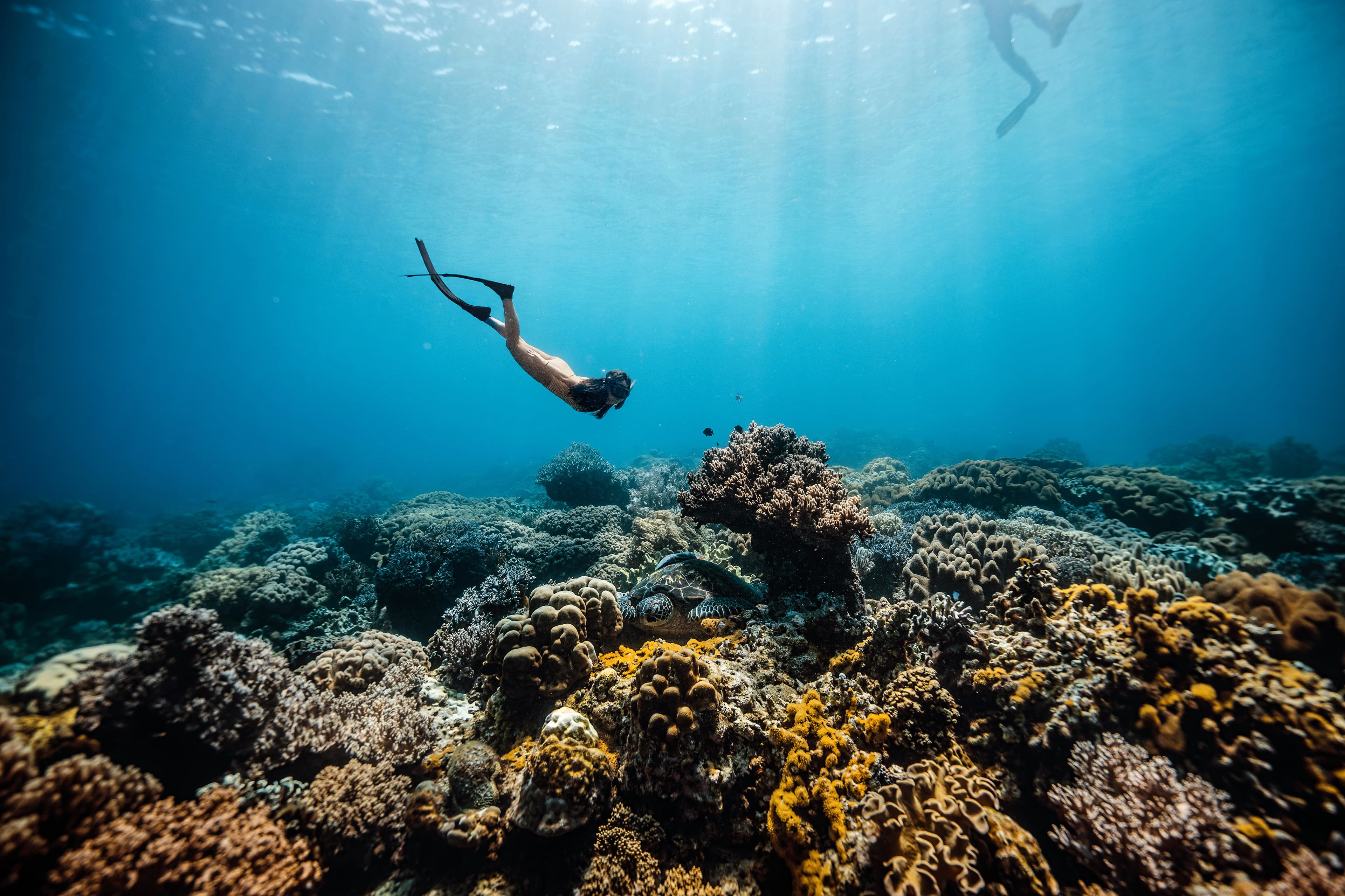 Freediver gliding over a coral reef near Davao
