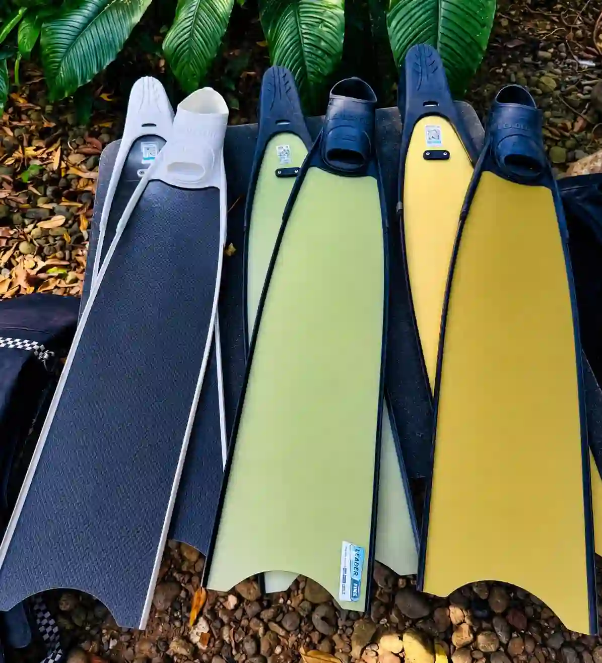 Three pairs of long-blade freediving fins in white, green, and yellow laid side by side